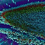 Edge Intelligence and Precision Printing: Exploring the Crossroads of AI and Sublimation Tech