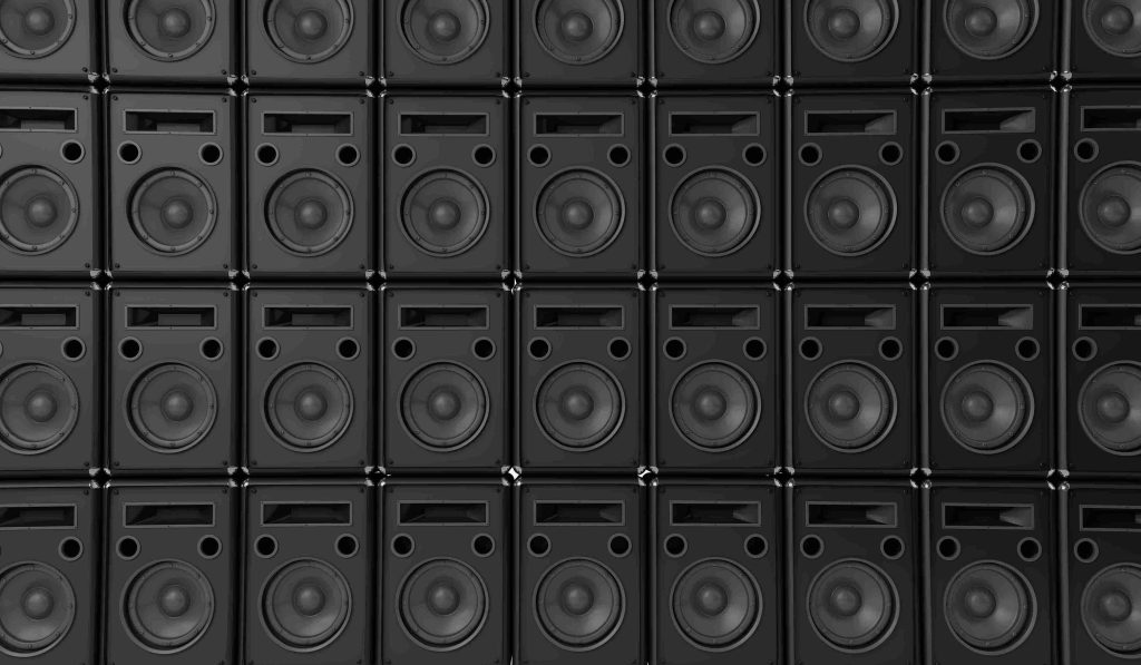 Professional Sound System