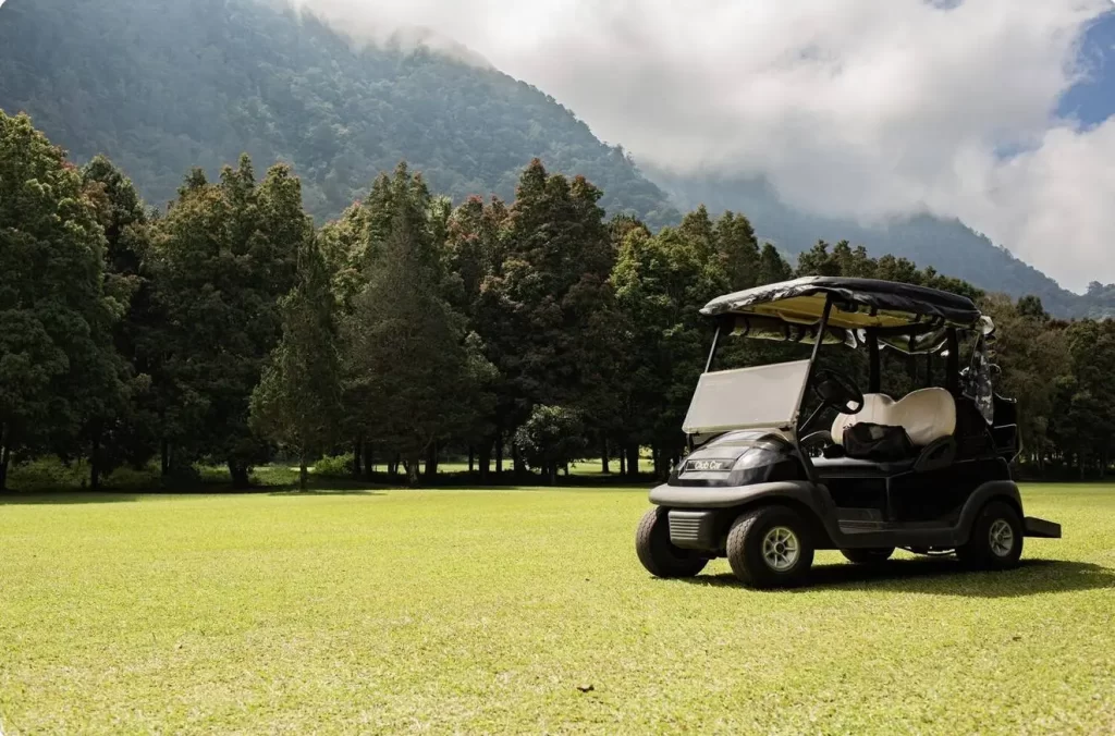 Brake pads; UTV golf cart