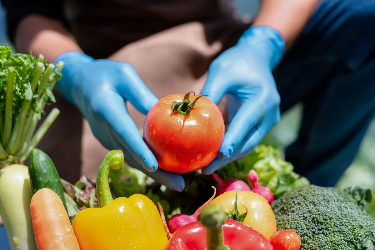 Food Safety Basics