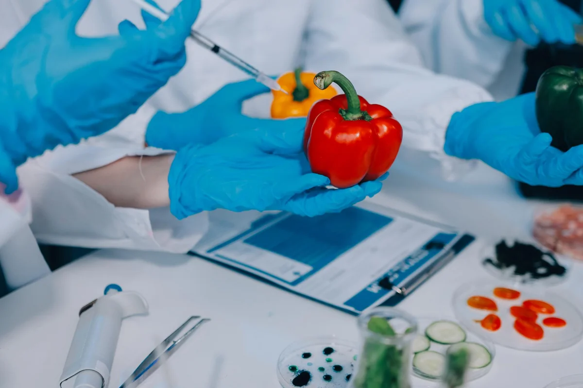 Food Safety Basics