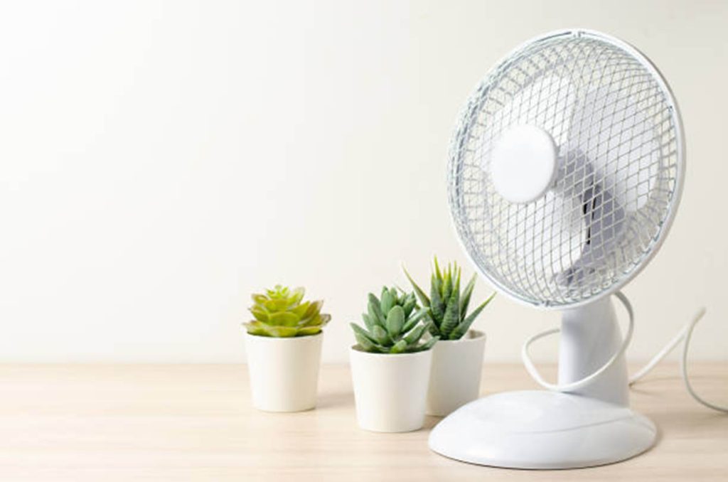 table fan (Duoben Intelligent)