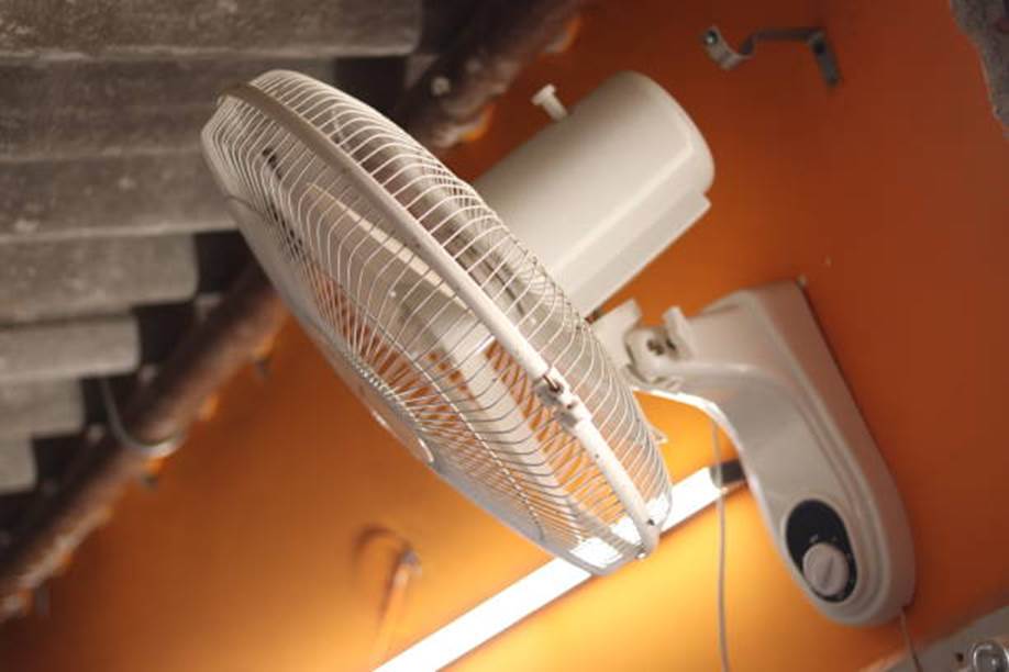BLDC wall fan (Duoben Intelligent); snacks vending machine (Zhongxin Intelligent Equipment)