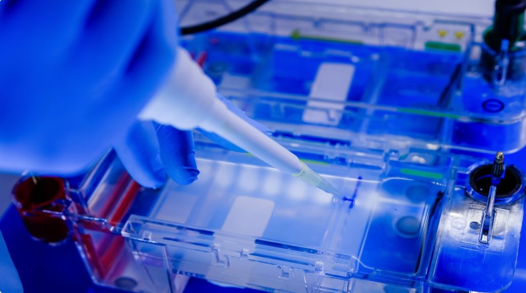 membrane chromatography (Cobetter); ASFV antigen test kit (Neo Nostics Bioengineering)