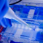 membrane chromatography (Cobetter); ASFV antigen test kit (Neo Nostics Bioengineering)
