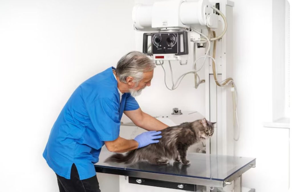 veterinary endoscope camera system (Dajing Medical); electrolyte supplement powder (Guangzhou Acorn Biotechnology)